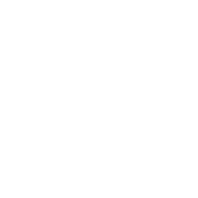 digitalfortress.online-logo